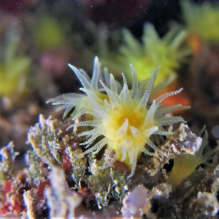 바리 H49 아파트 외부 사진